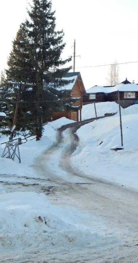 "Лісова Ягода" Yablunytsya Exterior foto